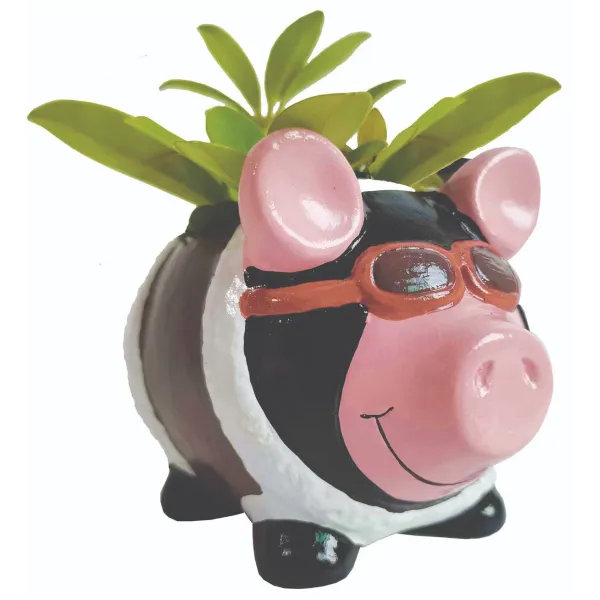 Aviator Pig Mini Plant Pot
