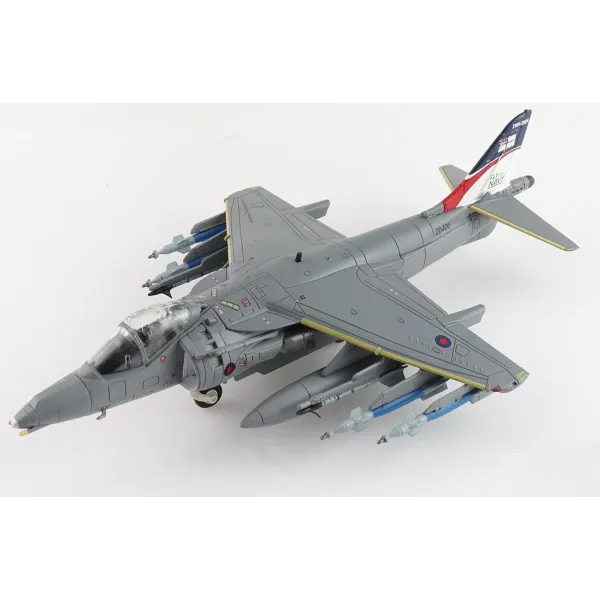 Harrier GR.9 ZD406, Royal Navy Strike Wing, RAF Station Cottesmore, 2009