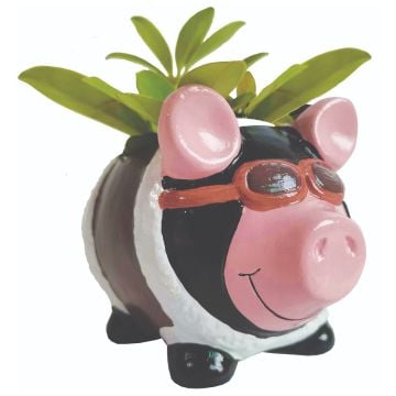 Aviator Pig Mini Plant Pot
