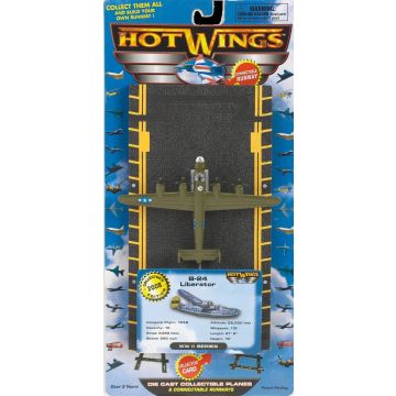 Hot Wings B-24 Bomber