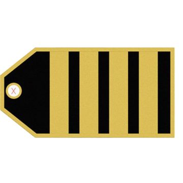 Captain 4 Stripes Baggage Tag