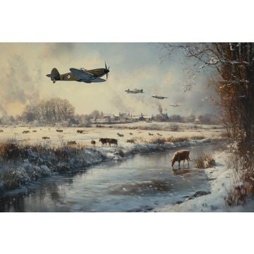 Frozen Flight - Christmas Cards (Pk 10)