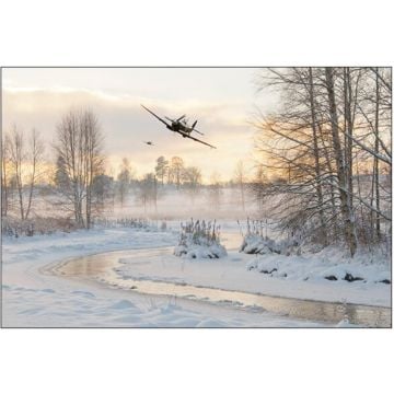 Flirting With The Tree Tops - Christmas Cards (Pk 10)