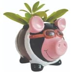 Aviator Pig Mini Plant Pot