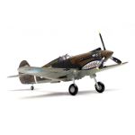 P-40C Warhawk 1st PS Adam and Eve Serial 5 Charles R Bond Loiwing China Diecast - 1/72