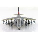 Harrier GR.9 ZD406, Royal Navy Strike Wing, RAF Station Cottesmore, 2009