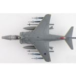 Harrier GR.9 ZD406, Royal Navy Strike Wing, RAF Station Cottesmore, 2009