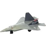Hot Wings F-22 Raptor