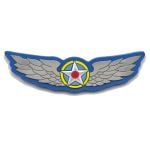 Kids Wings Plastic Pin Badge