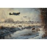 Frozen Flight - Christmas Cards (Pk 10)