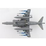 Harrier GR.9 ZD406, Royal Navy Strike Wing, RAF Station Cottesmore, 2009