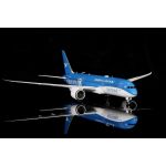 Xiamen Airlines Boeing 787-9 B-1356 "United Nations GOAL" Livery - Diecast Model - 1/200 Scale