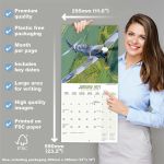 Spitfires Calendar 2027