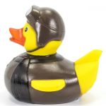 Pilot Duck