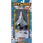 Hot Wings F-22 Raptor