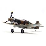 P-40C Warhawk 1st PS Adam and Eve Serial 5 Charles R Bond Loiwing China Diecast - 1/72