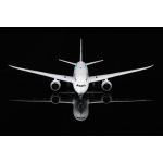 Japan Airlines B787-8 JA828J "Studio Ghibli" Livery - Diecast Model - 1/200 Scale