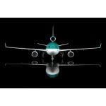 Aer Lingus McDonnell Douglas MD-11 N272WA Diecast Model - 1/200 Scale